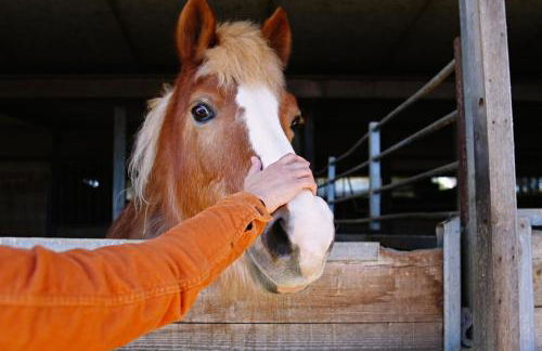 Due Ponti Village - Foto 40