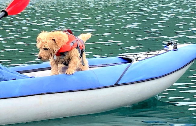 Hakuba Powder Mountain - Foto 54