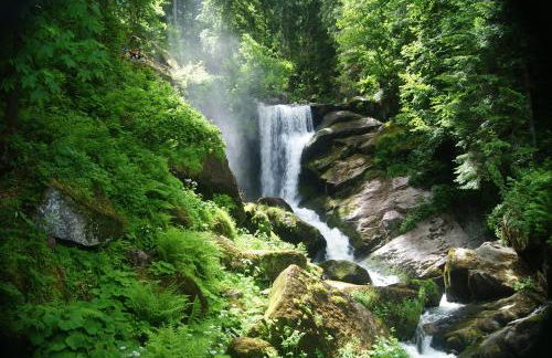 Rita - Atemberaubende Wasserfälle im Schwarzwald - Foto 16
