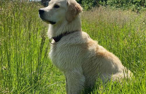 Residence Margreth - Foto 69