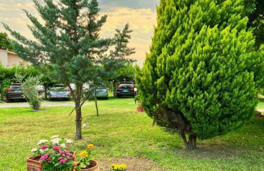 Viki Studios - Foto 9