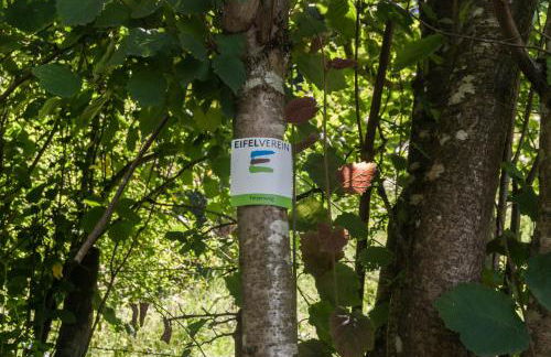 Living-in-History: Heidi Braun Cottage - Foto 10