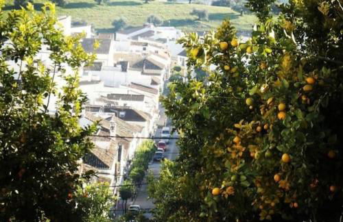 La Payana, Prado del Rey muy cerca de El Bosque - Foto 25