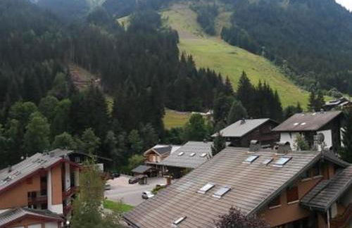 Studio Mezzanine Châtel, Parking, 4 pers. - FR-1-676-111 - Photo 9