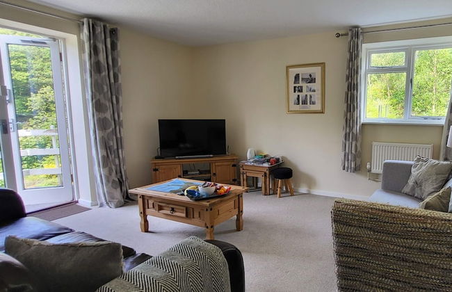 Plas Penaeldroch Manor - Foto 12