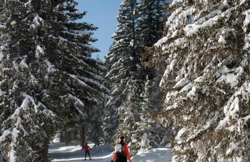 Charmant studio cabine COCOON à 100 m des pistes - Photo 31