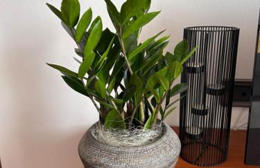 Le Tre A - Sole - Foto 10