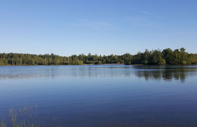 Pavilion 6 People With Storage Space - Photo 8