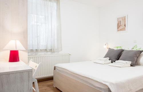 OLIVA 4 STARS - Photo 21