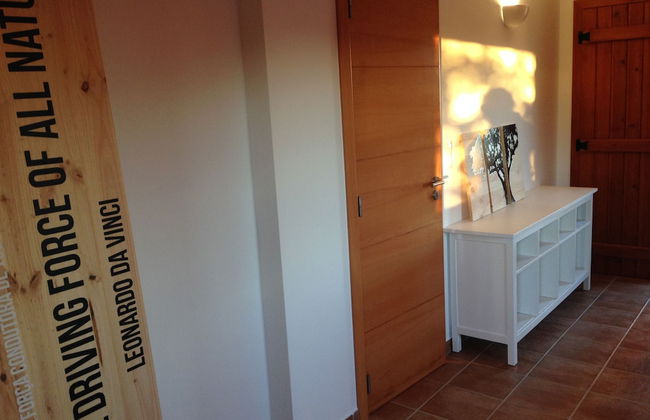 Tons da Terra - Foto 47