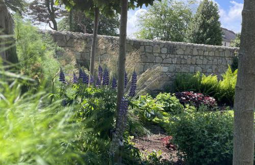 New build eco house in walled garden, Rostrevor - Photo 10