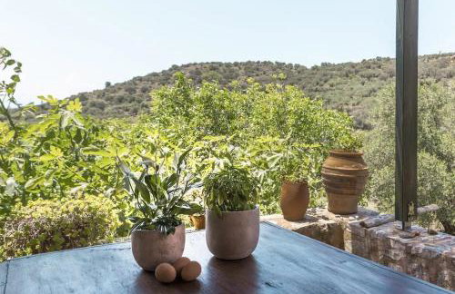 Orgon Farm Traditional Houses - Foto 73