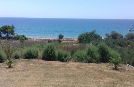 Margarita House - Photo 61