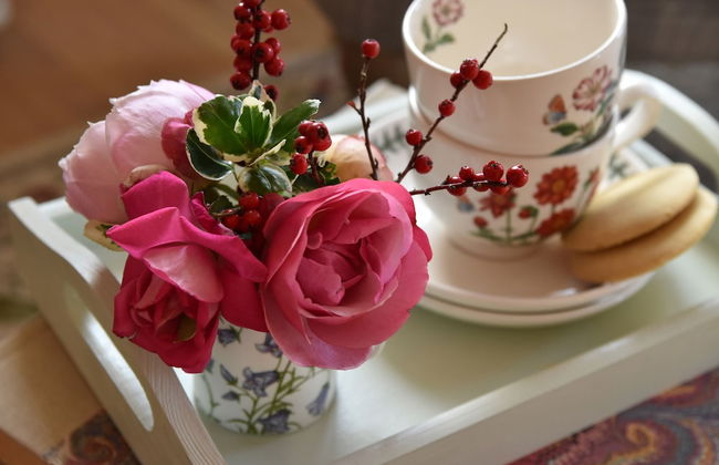 Netherton Farm Lodge - Foto 20