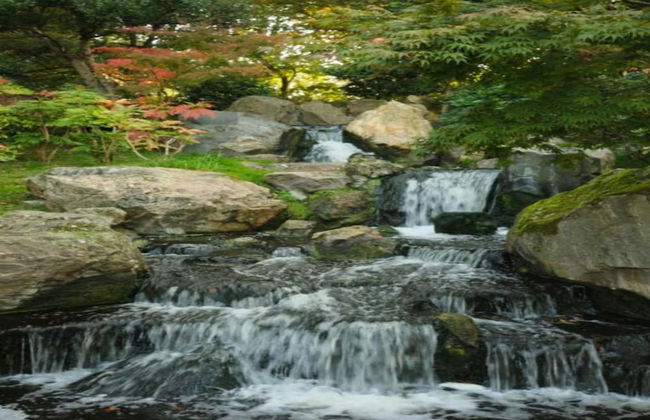 Lovely Studio in London With Patio - Foto 34