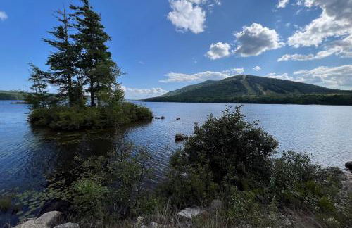 Moose & Red Fox Retreat - Foto 47