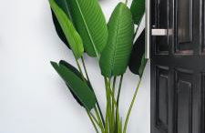 Poncio Home - Foto 24