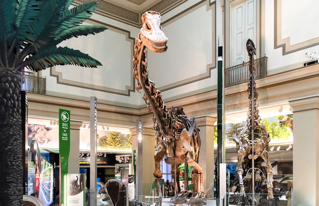 Kasa Alexandria Washington - Foto 38