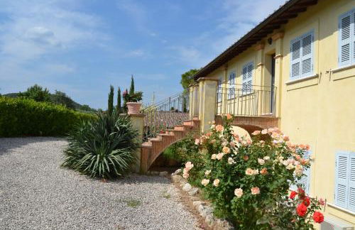 Tenuta Pizzogallo - Foto 33