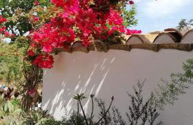 Alojamiento rural Masía Valldepérez - Foto 40