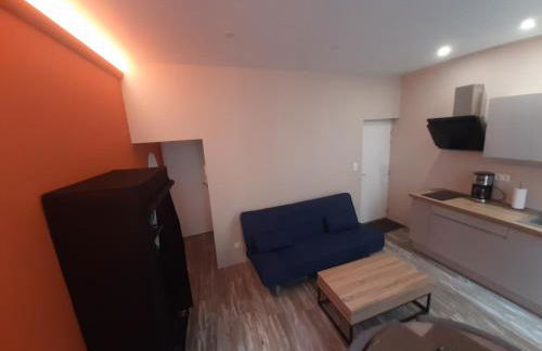 3 Apt T2 COSY de 40 à 50 M2 Idéal pour un déplacement PRO " Les IRIS " - Foto 12