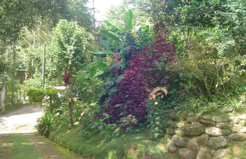 Casa Dell Angelo Apartamentos - Foto 55