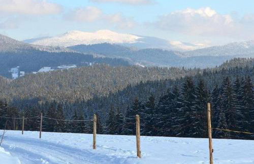 Cozy Apartment in Ruhmannsfelden With Swimming Pool - Foto 30