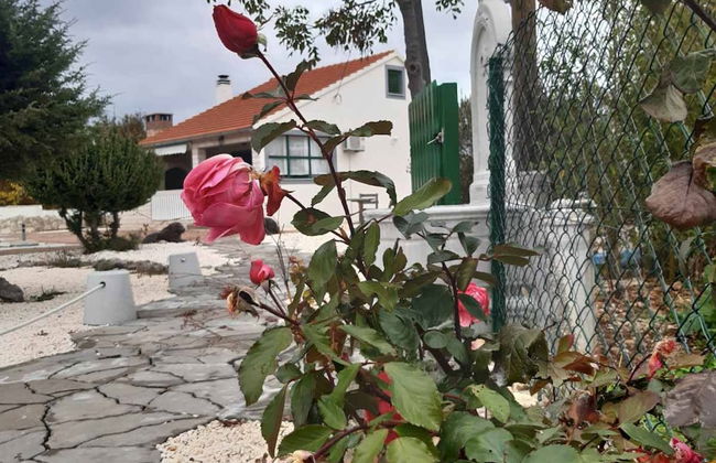 Holiday Home Mystic Woods - Foto 44