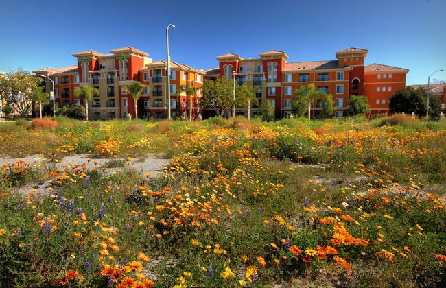 Platinum Triangle Apartments - Foto 30