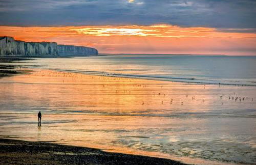 Le clapotis de l'Ô, calme, balcon sur la mer, à 2 h de Paris - Foto 36