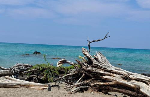 Shores at Waikoloa 132 Hale Kai - Foto 56