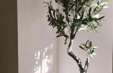 Villa Rosada • Pontevedra - Foto 12