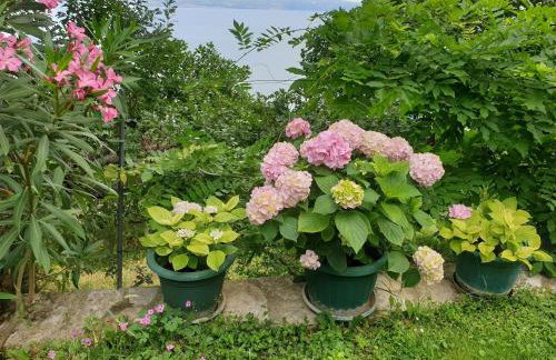 IDIS Holiday Home - Foto 29