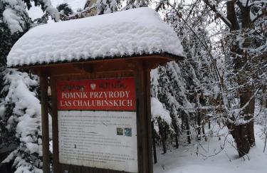 Apartamenty Krokiew - Foto 73