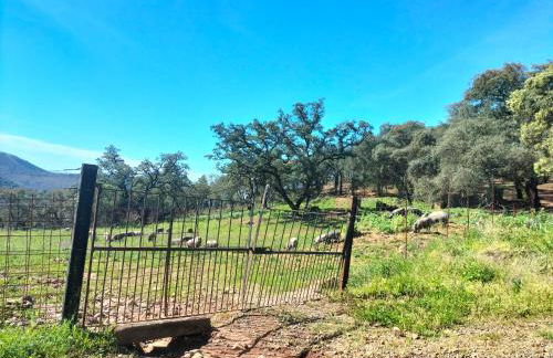 Casa rural Alicia - Foto 16