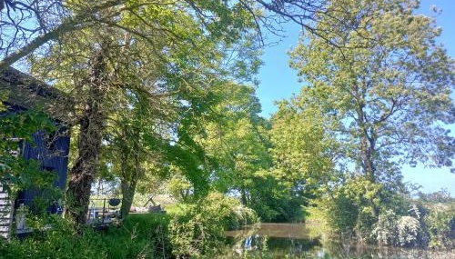 The Water Shack - Amazing tiny house retreat - Foto 5