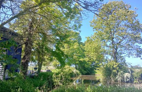 The Water Shack - Amazing tiny house retreat - Foto 5