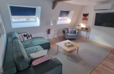 Chez Clément et Mathilde -Duplex climatisé Hyper centre , tout équipé - Foto 21