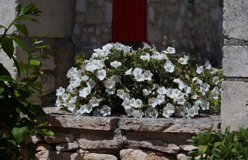 Les Néfliers Gîte - Foto 20