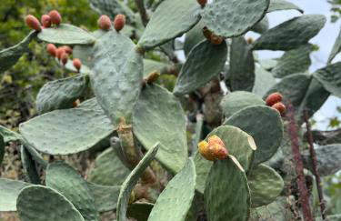 Viewtyhouse - Foto 34