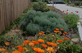 Casa D'Augusta - Agroturismo - Foto 59