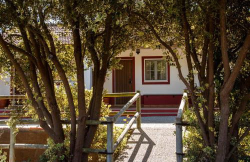 Herdade das Barradas da Serra - Foto 14