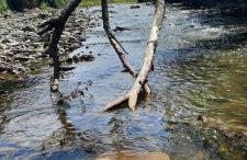 DOMEK LETNISKOWY MYSCÓWKA - Foto 22