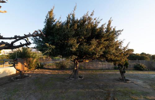 GARDEN HOUSE, Kalamaki - Foto 68