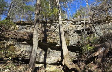 Cabin near Dogwood Canyon, Top of the Rock, Branson - Foto 38