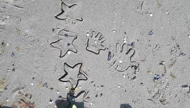 Ferienwohnung Haus Sommerwind - Foto 4