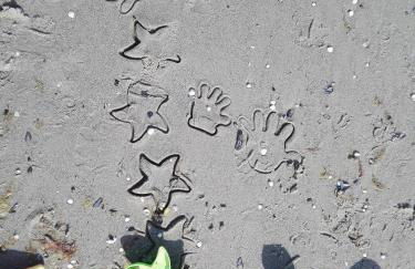 Ferienwohnung Haus Sommerwind - Foto 4