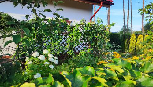 Brzozowa Chatka - Dom nad Jeziorem - Wellness & Ceragem - Foto 4, Garden, Garden view