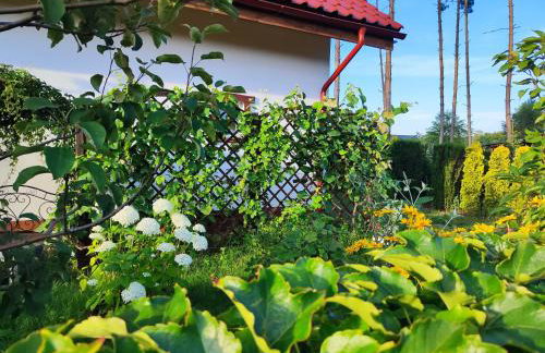 Brzozowa Chatka - Dom nad Jeziorem - Wellness & Ceragem - Foto 4