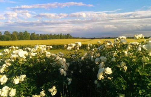 Holiday countryside home with swimming pool, sauna Less than 20km from the sea - Foto 66